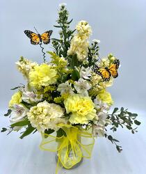 Butterfly Kisses from Aletha's Florist in Marietta, OH