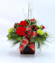 CHRISTMAS CHEER  from Aletha's Florist in Marietta, OH
