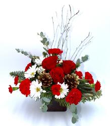 Christmas Romance  from Aletha's Florist in Marietta, OH
