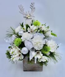 Reindeer Sparkle  from Aletha's Florist in Marietta, OH