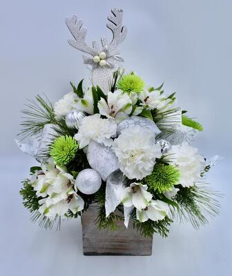 Reindeer Sparkle  from Aletha's Florist in Marietta, OH