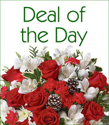 ALETHA'S AWESOME DEAL OF THE DAY! from Aletha's Florist in Marietta, OH