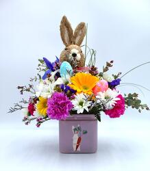 Easter Bunny  from Aletha's Florist in Marietta, OH