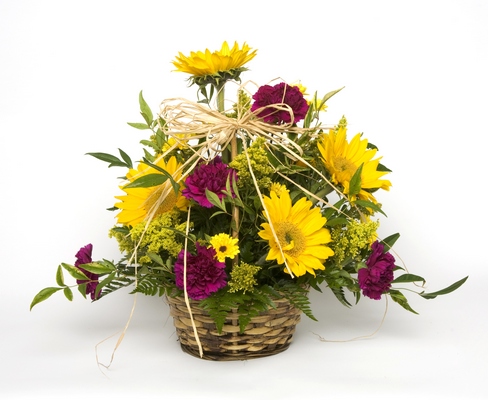 GRAND GERBER BASKET from Aletha's Florist in Marietta, OH