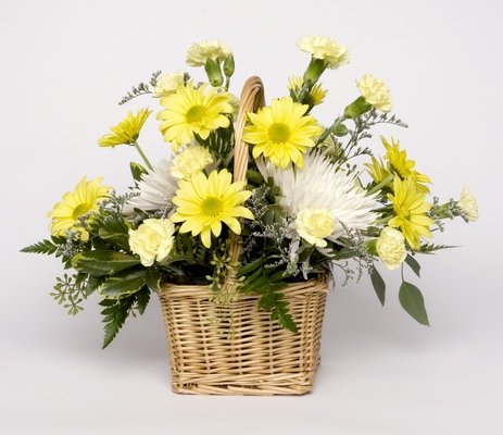 HELLO SUNSHINE from Aletha's Florist in Marietta, OH