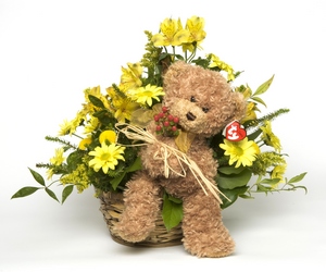 BEAR HUGS BASKET from Aletha's Florist in Marietta, OH