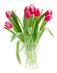 SIMPLY TULIPS from Aletha's Florist in Marietta, OH