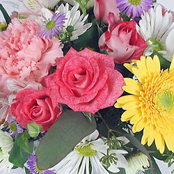 ALETHA ARRANGES